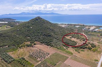 Teren construibil 4.310 mp lângă plaja Ammolofoi anunturi imobiliare Grecia