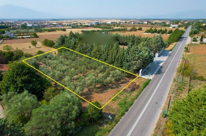 Teren construibil 1667 mp în Choristi, Drama anunturi imobiliare Grecia