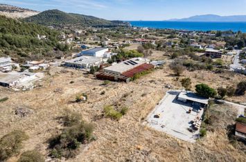 Teren 1.283 mp în Perigiali (Kavala) anunturi imobiliare Grecia