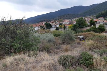 Teren 1108 mp în Mirtofito, Kavala anunturi imobiliare Grecia