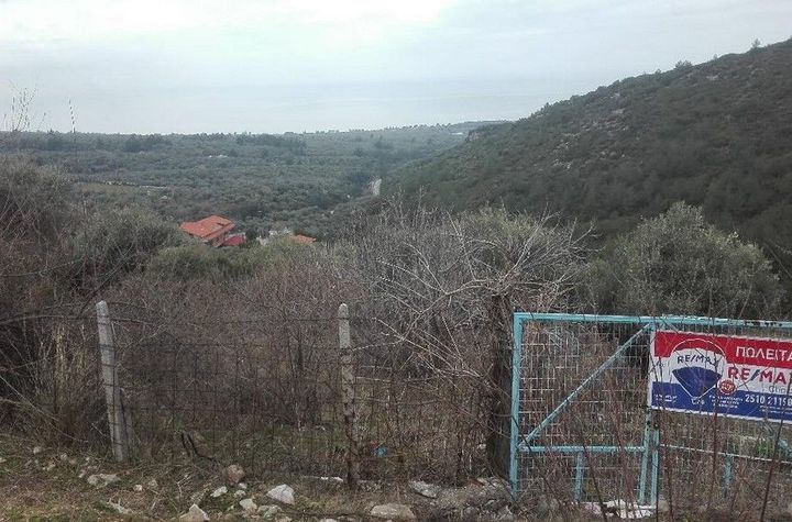Teren construibil 1453.99 mp în Kallirachi, Thassos anunturi imobiliare Grecia
