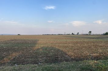 Teren de vanzare PLOIESTI - Prahova anunturi imobiliare Prahova