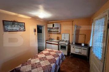 Vilă - 5 camere de vanzare BLAJ - Alba anunturi imobiliare Alba