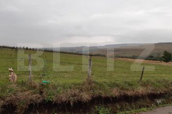 Teren de vanzare FALTICENI - Suceava anunturi imobiliare Suceava