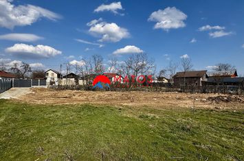 Teren Intravilan de vanzare BAICOI - Prahova anunturi imobiliare Prahova