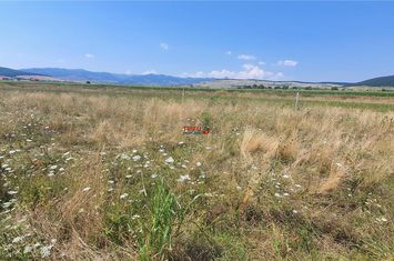 Teren Intravilan de vanzare BARABANT - Alba anunturi imobiliare Alba