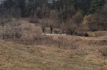 Teren de vânzare în Câmpina (zona Semicentrală) anunturi imobiliare Prahova