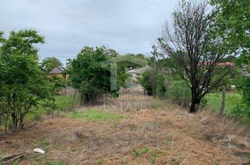 Teren intravilan 2562mp Loc 23 August | Ideal locuiță sau casă vacanță anunturi imobiliare Constanta