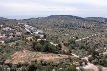 Teren construibil 633,65 mp în Astrida Thassos anunturi imobiliare Grecia