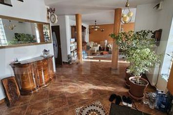 Vilă - 8 camere de inchiriat BARIERA VALCII - Dolj anunturi imobiliare Dolj