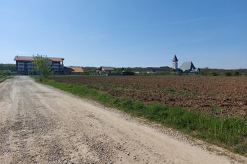 Loturi de casa de 583mp, deschidere 30m, Ciofliceni - Snagov! anunturi imobiliare Bucuresti