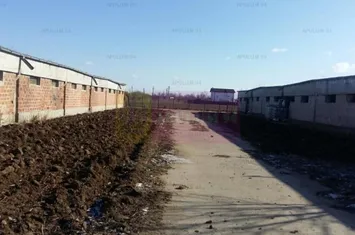 Teren Balotesti- Saftica- ideal pentru constructie locuinte. anunturi imobiliare Bucuresti