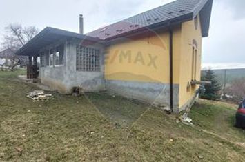 Casă nouă, de vânzare anunturi imobiliare Iasi
