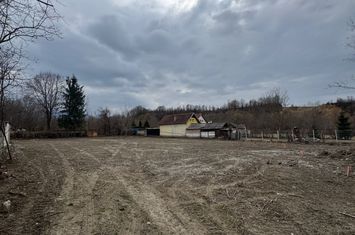 Teren de vanzare AVRIG - Sibiu anunturi imobiliare Sibiu