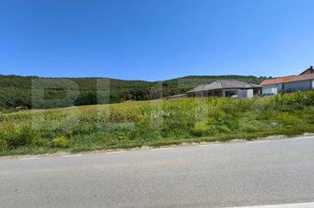 Teren de vanzare HAPRIA - Alba anunturi imobiliare Alba