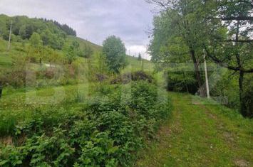 Teren de vanzare CAMPENI - Alba anunturi imobiliare Alba