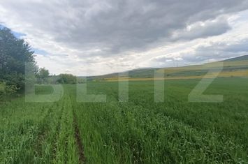 Teren de vanzare UNIREA - Alba anunturi imobiliare Alba