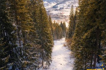 Teren Intravilan de vanzare LUNCA BRADULUI - Mures anunturi imobiliare Mures