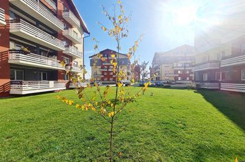 Apartament 3 camere de inchiriat SANPETRU - Brasov anunturi imobiliare Brasov