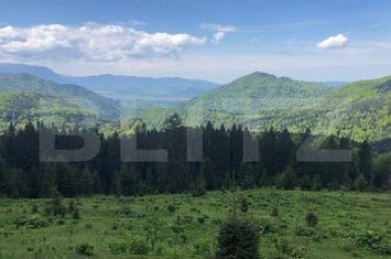 Teren de vanzare BRASOV - Brasov anunturi imobiliare Brasov