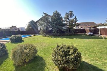 Vila cu piscina | gradina 600 mp | zona Iancu Nicolae | anunturi imobiliare Bucuresti