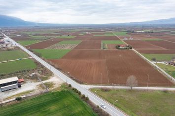 Teren construibil 6073 mp în Ftelia anunturi imobiliare Grecia
