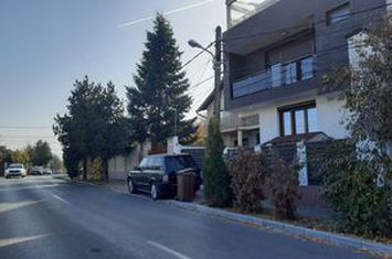 Vanzare vila Damaroaia mobilata/utilata complet anunturi imobiliare Bucuresti