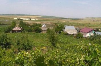 Casă - 3 camere de vanzare DUMESTI - Iasi anunturi imobiliare Iasi