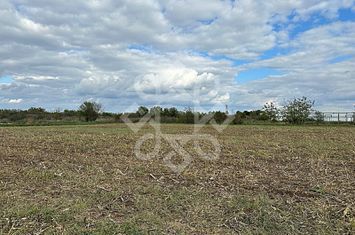Teren industrial 2571 mp de vanzare in Santandrei anunturi imobiliare Bihor