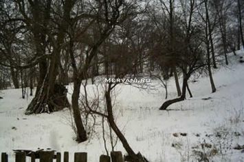 Teren de vânzare în Breaza (zona Clubul de Golf) anunturi imobiliare Prahova