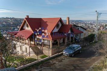 Villa Zona Bucium-Plopii Fara Sot ( pretabila si comercial) POTENTIAL RIDICAT anunturi imobiliare Iasi