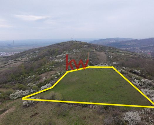 Teren Iasi, 10042 mp