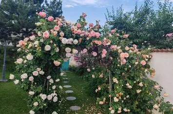 Vila superba in stil mediteranean Saftica- Corbeanca-  COMISION 0. anunturi imobiliare Bucuresti