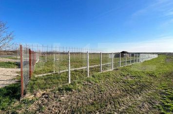 Teren de vanzare SATU MARE - Satu Mare anunturi imobiliare Satu Mare