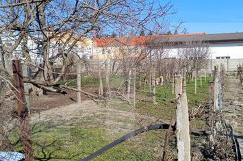 Casă - 4 camere de vanzare IOSEFIN - Timis anunturi imobiliare Timis