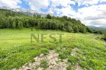 COMISION 0%! Teren superb la Plaiul Foii, pe malul Barsei anunturi imobiliare Brasov