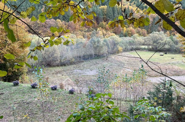 Teren pentru casa de vacanta județul Harghita anunturi imobiliare Harghita