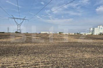 Teren de vanzare DUMBRAVITA - Timis anunturi imobiliare Timis