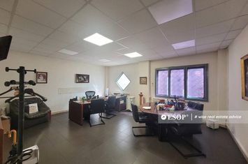 Birou de inchiriat VIILOR - Bucuresti anunturi imobiliare Bucuresti