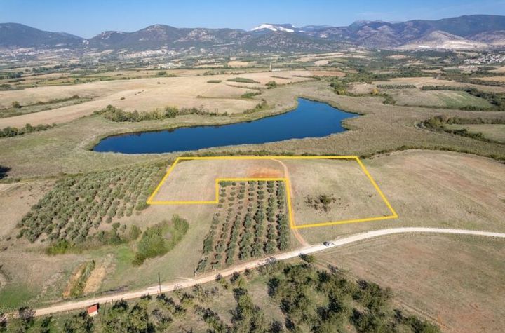 Teren agricol 12.719 mp, Neos Xerias anunturi imobiliare Grecia
