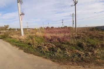 Teren la Asfalt cu utilități alături (Curent & Gaz) lângă București anunturi imobiliare Bucuresti