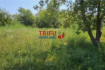 Teren Intravilan de vanzare CENTRAL - Alba anunturi imobiliare Alba