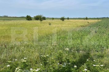 Teren de vanzare NISIPURILE - Dambovita anunturi imobiliare Dambovita