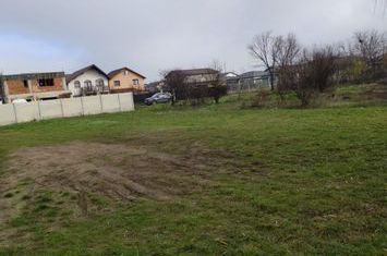Teren de vanzare DOMNESTI - Bucuresti anunturi imobiliare Bucuresti