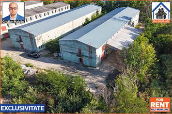 Hale de inchiriat in 1 Decembrie Ilfov | NILS Imobiliare anunturi imobiliare Bucuresti