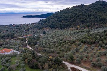 Teren construibil 5770 mp în Koinyra, Thassos anunturi imobiliare Grecia