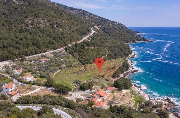 Teren construibil 13.916,99 mp în Koinira, Thassos anunturi imobiliare Grecia