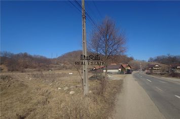 Teren Intravilan de vanzare EST - Hunedoara anunturi imobiliare Hunedoara