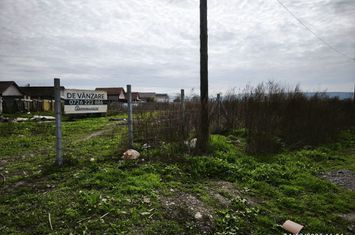 Teren drept  19059 mp - toate utilitățile - asfalt - Sancrai anunturi imobiliare Mures