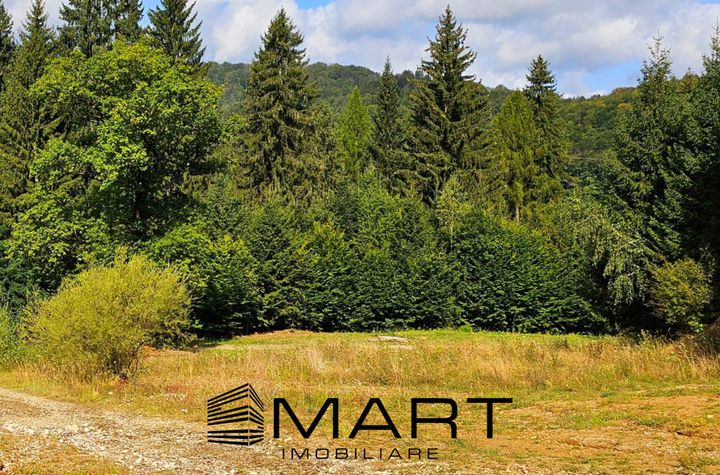 Teren de vanzare DAMBUL MORII - Brasov anunturi imobiliare Brasov